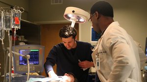 Anatomia de Grey 1×3