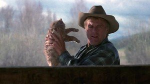 Um Lugar Para Recomeçar