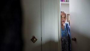 Better Call Saul 1×2