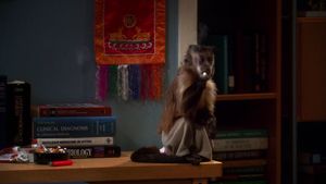 A Teoria do Big Bang  4×21