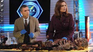 Bones 7×12