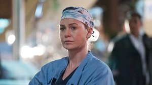 Grey’s Anatomy 13×24