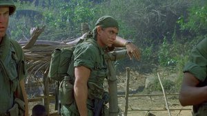 Platoon – Os Bravos do Pelotão