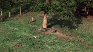 Um Lugar Para Recomeçar