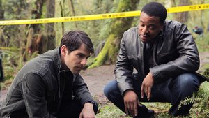 Grimm 1×1