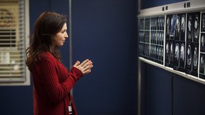 Anatomia de Grey 8×15