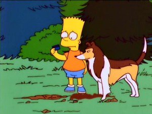 Os Simpsons 8×20