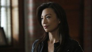 Agentes da S.H.I.E.L.D. 2×13