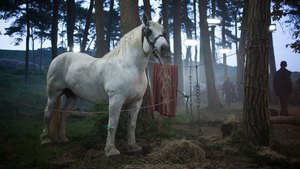 Da Vinci’s Demons 2×4