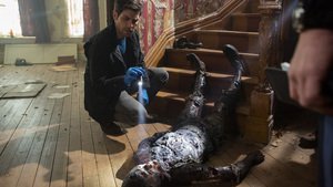Grimm 4×11