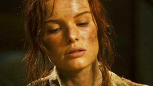 O Caminho do Guerreiro