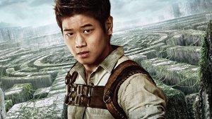 Maze Runner – Correr ou Morrer