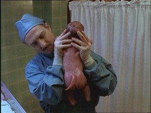 Ficheiros Secretos   4×20