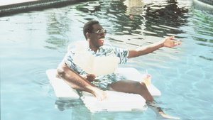 Um Tira da Pesada II