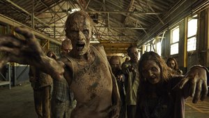 The Walking Dead