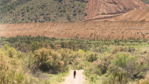 Fear the Walking Dead 2×8