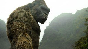 Kong: A Ilha da Caveira
