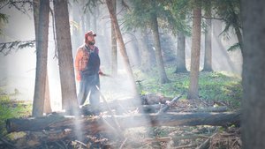 Tucker & Dale contra o Mal