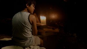 Meu Pé de Laranja Lima