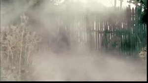 Os Quatro Guerreiros