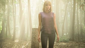 Under The Dome 3×13