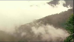 Os Quatro Guerreiros