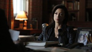 Agentes da S.H.I.E.L.D. 2×13