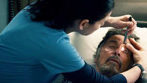 Amigos Inseparáveis