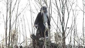 Krampus: O Justiceiro do Mal