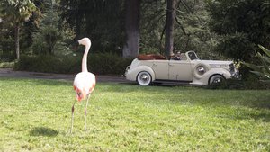 Marvel’s Agent Carter 2×2