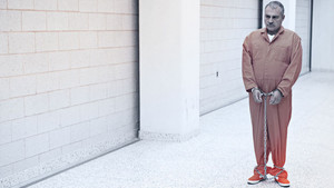 Terrorismo em Nova York