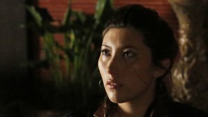 Agentes da S.H.I.E.L.D. 2×20