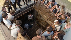 Maze Runner – Correr ou Morrer