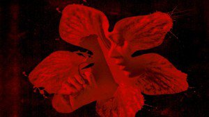 Colombiana: Em Busca de Vingança