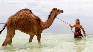 Uma Jornada Para Toda a Vida