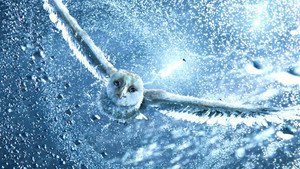 A Lenda dos Guardiões