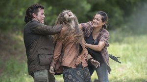 The Walking Dead 5×5