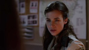 Pânico na Floresta 5