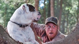 Tucker & Dale contra o Mal