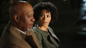 Anatomia de Grey 10×24