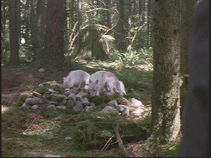 Ficheiros Secretos   1×4