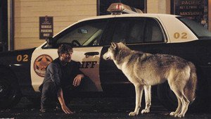 Once Upon a Time 1×7