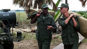 Forrest Gump – O Contador de Histórias