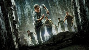 Maze Runner – Correr ou Morrer