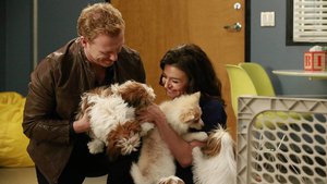 Anatomia de Grey 12×14