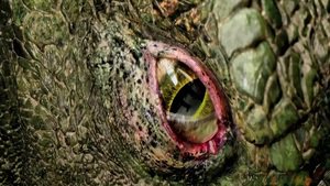 O Espetacular Homem-Aranha