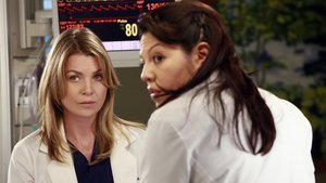 Anatomia de Grey 9×8