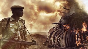 O Extermínio do Marfim