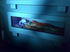 Jornada nas Estrelas: A Série Original 1×22