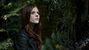 O Último Caçador de Bruxas